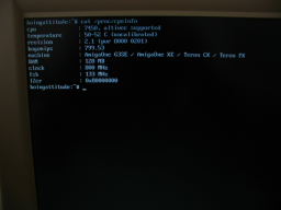 Shell Linux